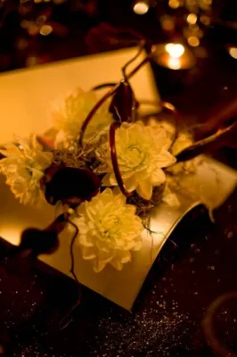 Mariage dans un domaine en Ile-de-France