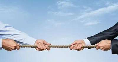 la gestion locative de murs commerciaux, locaux professionnels, bureaux