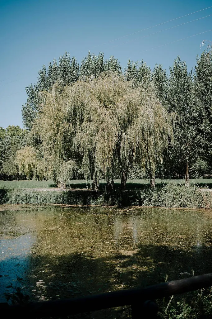 Lieu mariage aix en provence photo Sabri Aydi