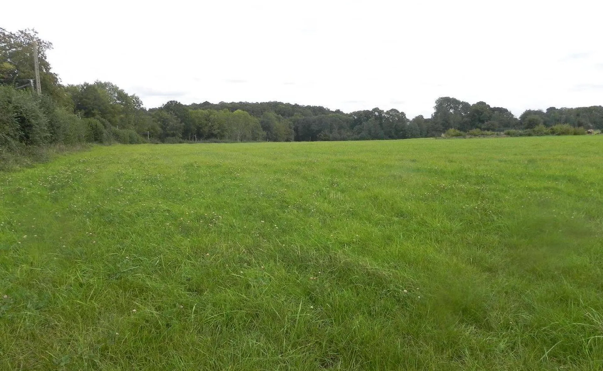 Rare à la vente, Terres Agricoles d'environ 7 hectares à vendre dans la région de Sainte Marguerite des Loges 14140.