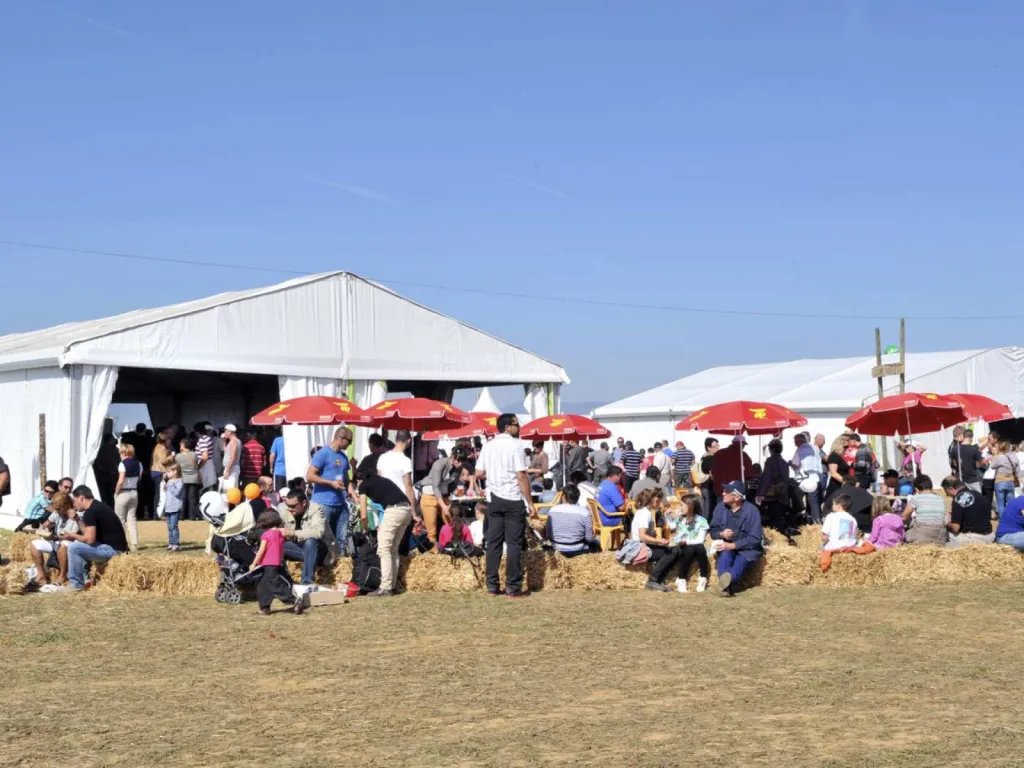 Photographe institutionnel pour reportage d’événement de collectivité à Lyon et en région Auvergne Rhône-Alpes