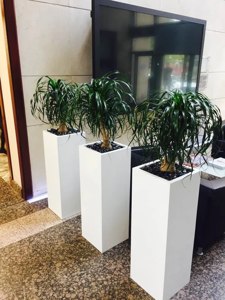 Plantes naturelles et pots Rhône-Alpes