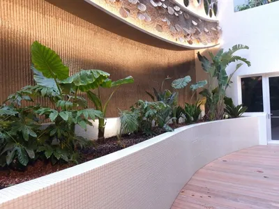 Massif prestigieux avec plantes exotiques à Monaco