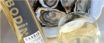 Vin FONTBLANCHE - immobilier castellas