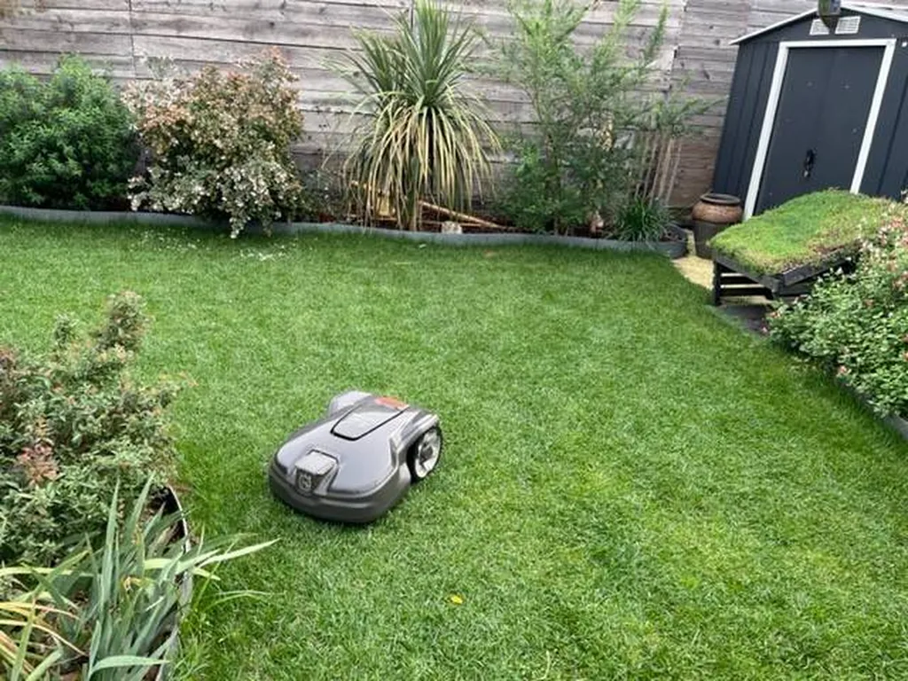 Plantation d’un gazon en rouleaux dans le jardin d'une maison des Landes