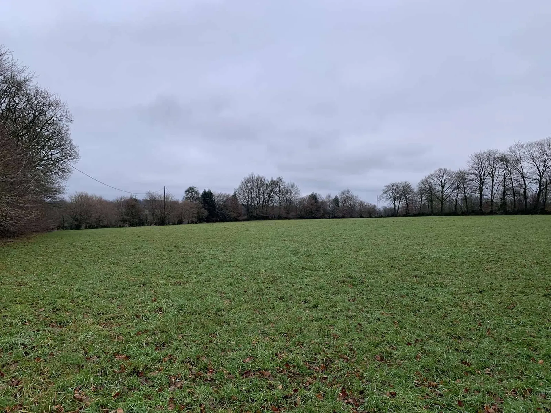 Région SOURDEVAL (MANCHE) Parcelles d'herbage et bois taillis sur 9 HA 10 A