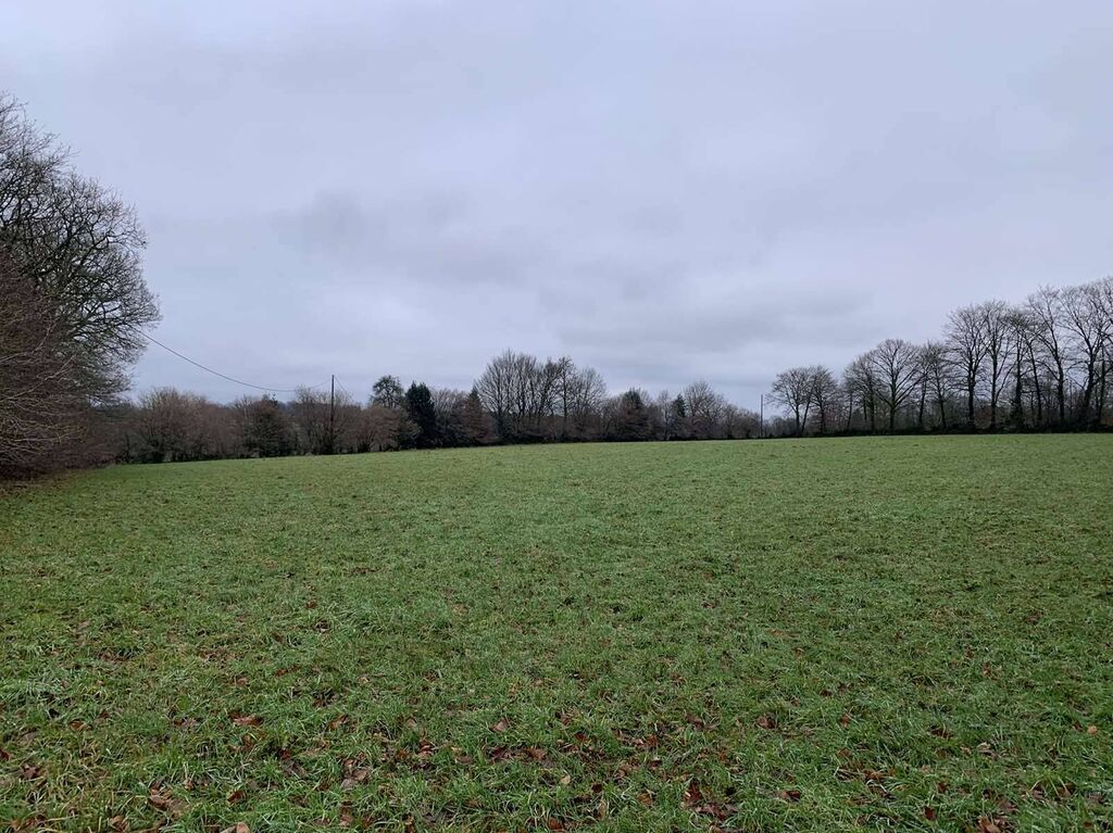 Région SOURDEVAL (MANCHE) Parcelles d'herbage et bois taillis sur 9 HA 10 A