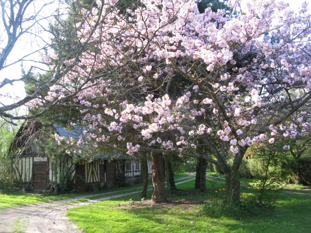 MAISON NORMANDE Entre PONT L'EVEQUE ET LISIEUX