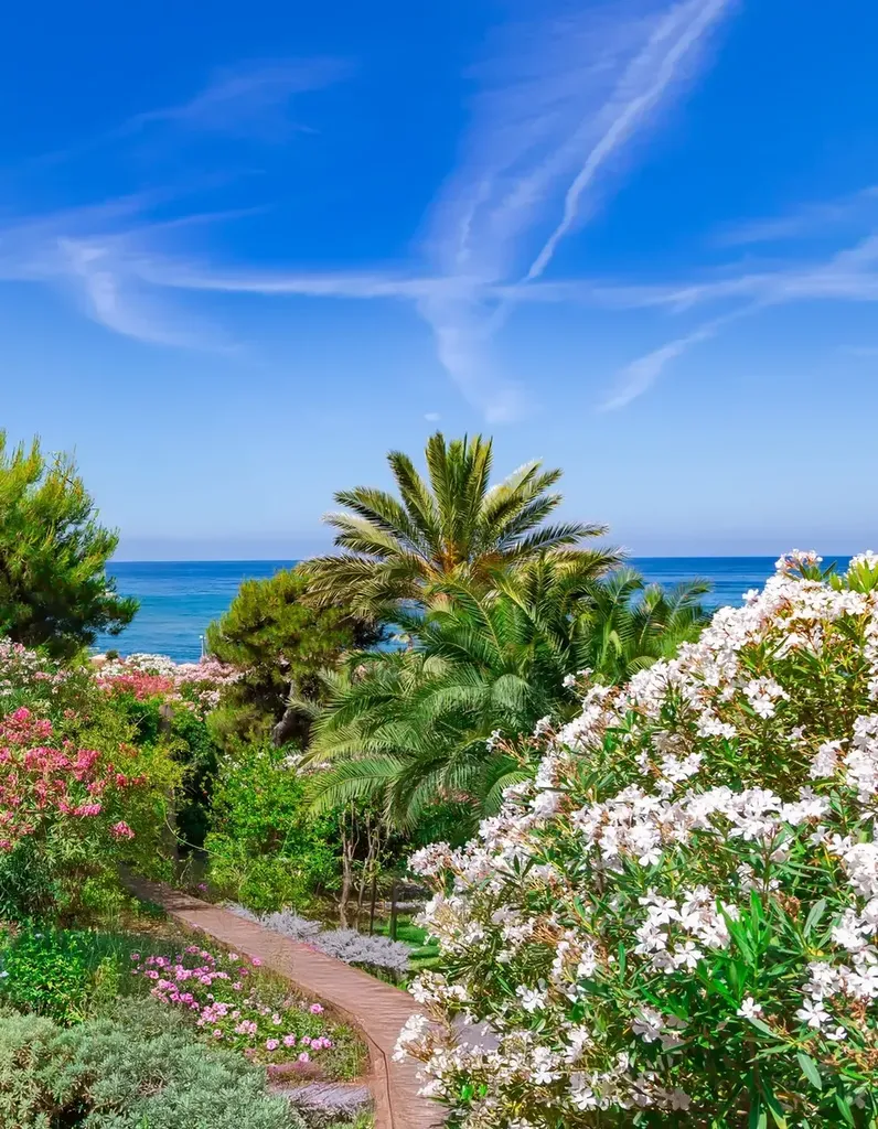 Paysagiste à Cuges pour aménagement de jardin et création d’espace vert dans le Var et les Bouches-du-Rhône
