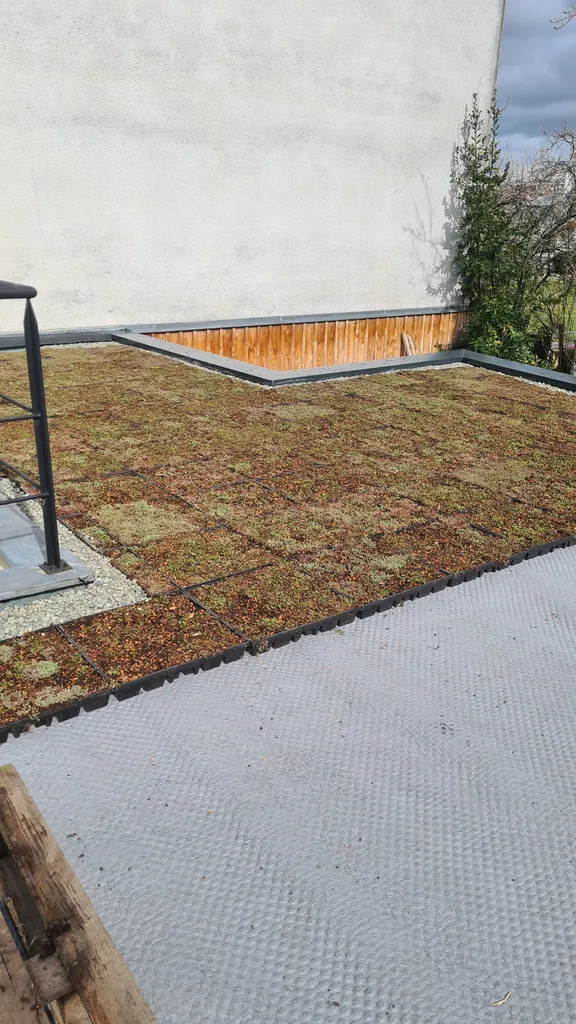 Pose d'une végétalisation 