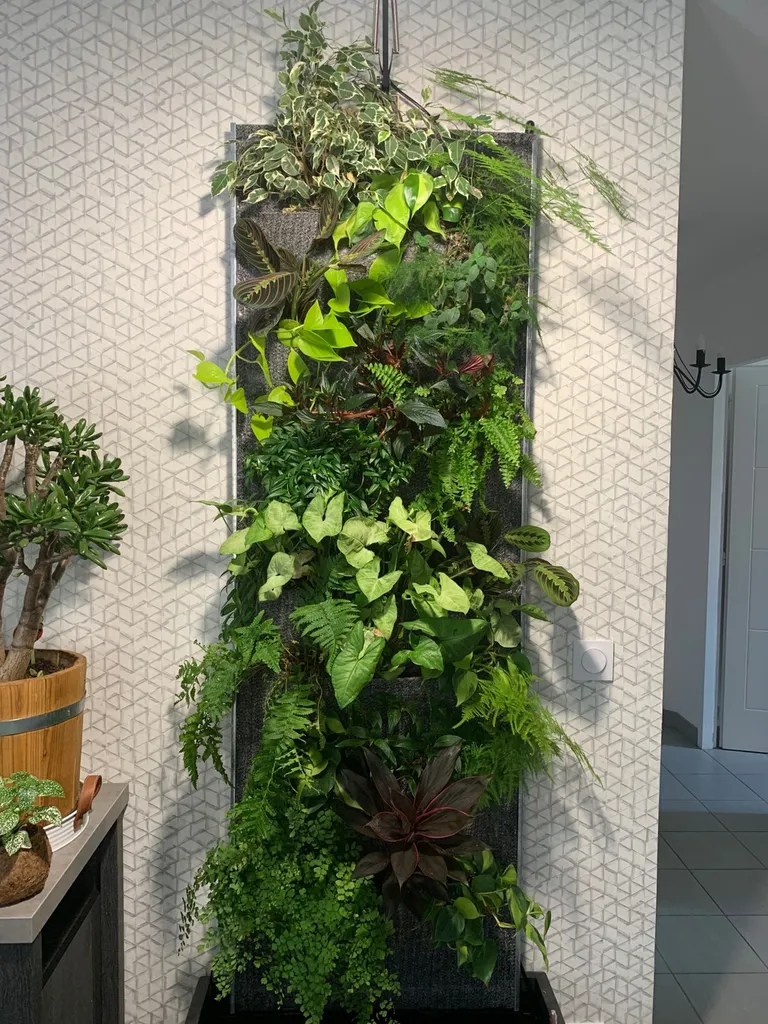 mur végétalisé d'intérieur à la Teste de Buch