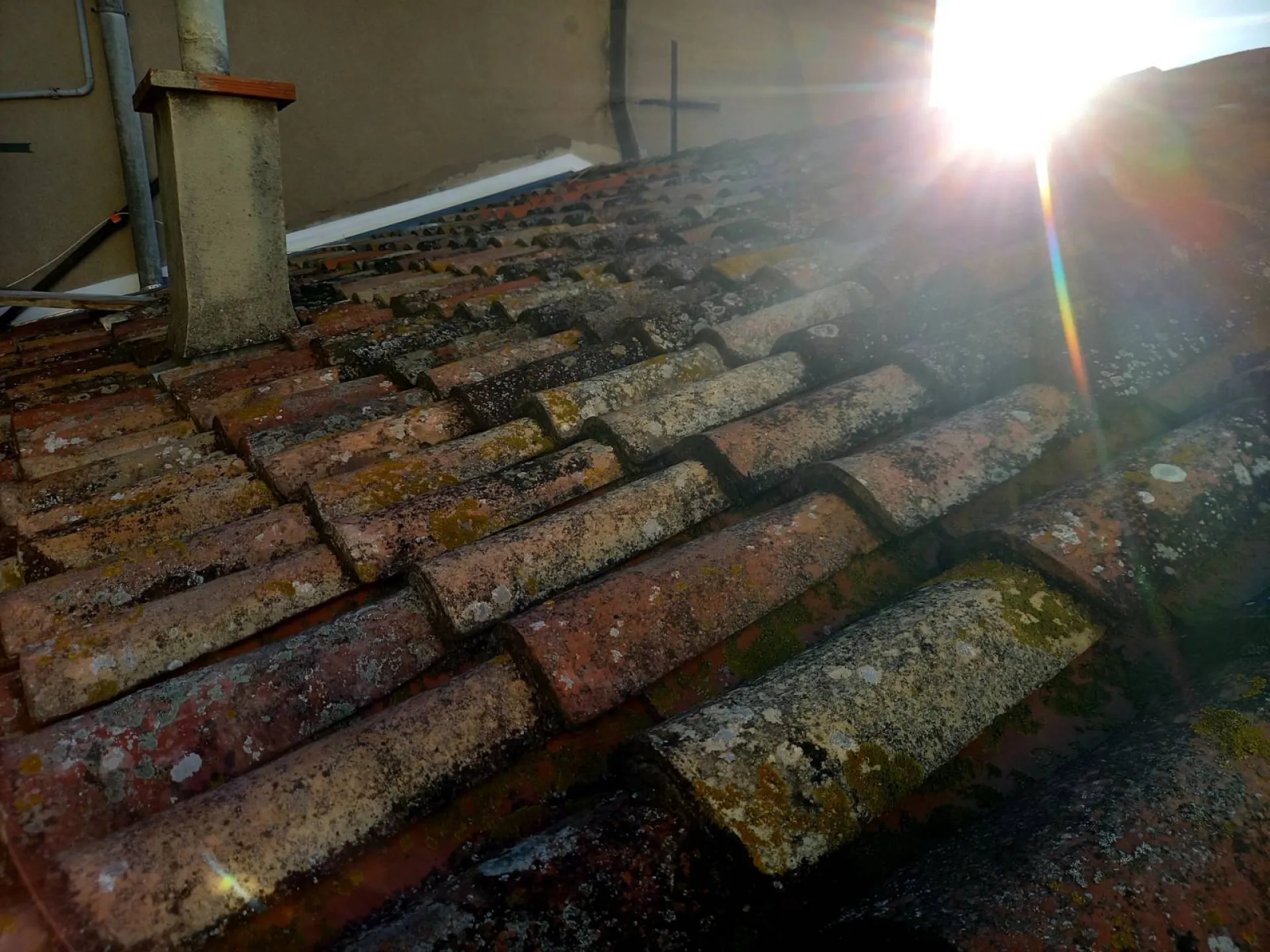 Mousse et entretien d'une toiture de maison dans le Var et la région PACA