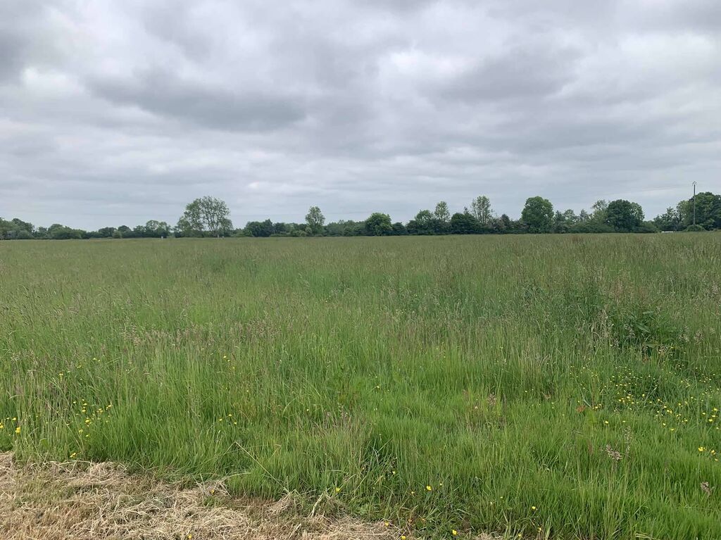 Entre VIMOUTIERS (61120) et ORBEC (14290), A VENDRE HARAS avec 39 ha