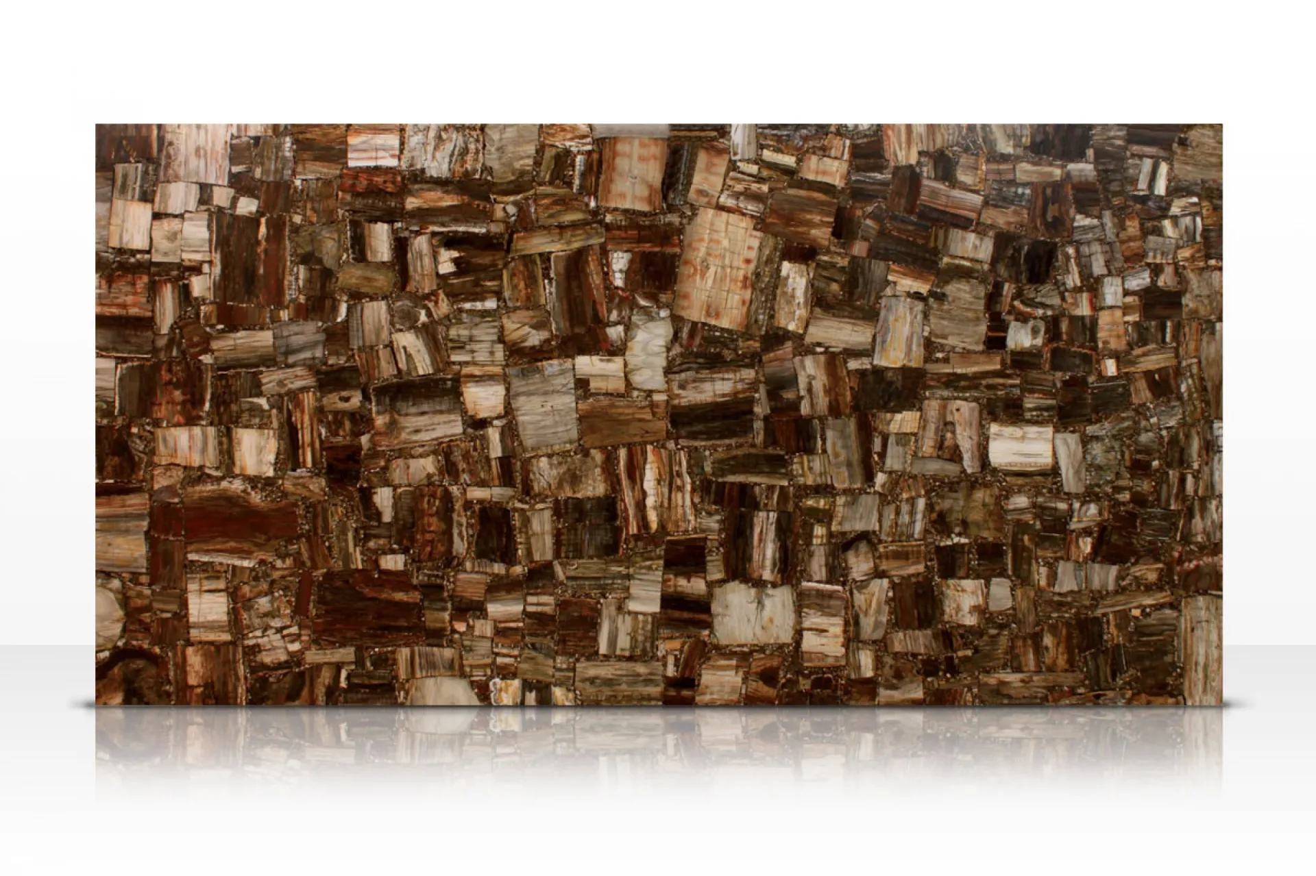 Tranche Retro Petrified