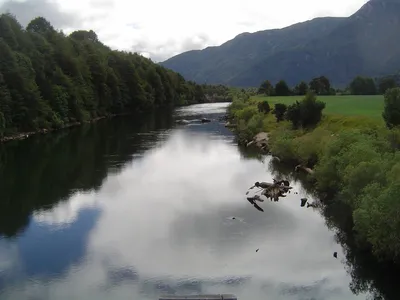 Ingénierie juridique & financière