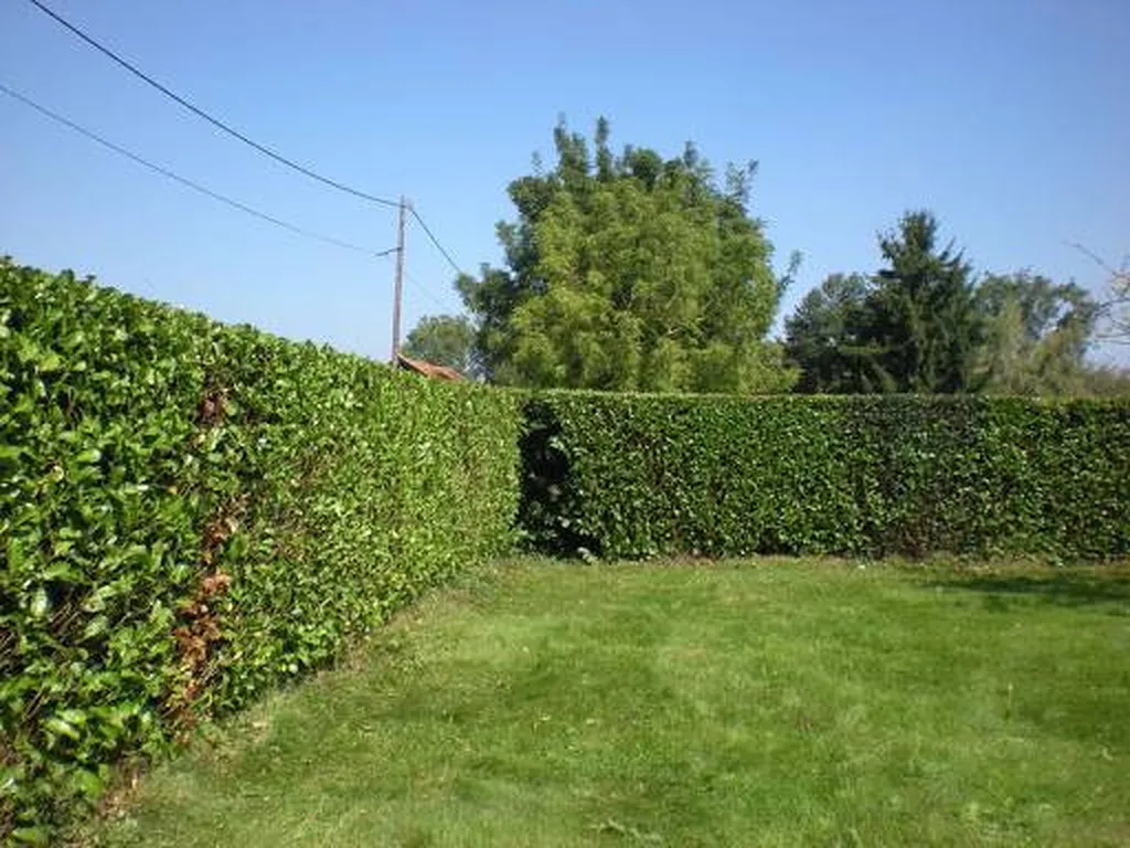 Nos prestations sur le secteur deLesparre-Médoc 33340 Gironde