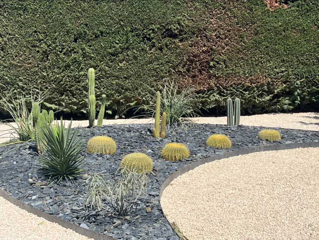 choix cactées et plantes résistantes sécheresse 13