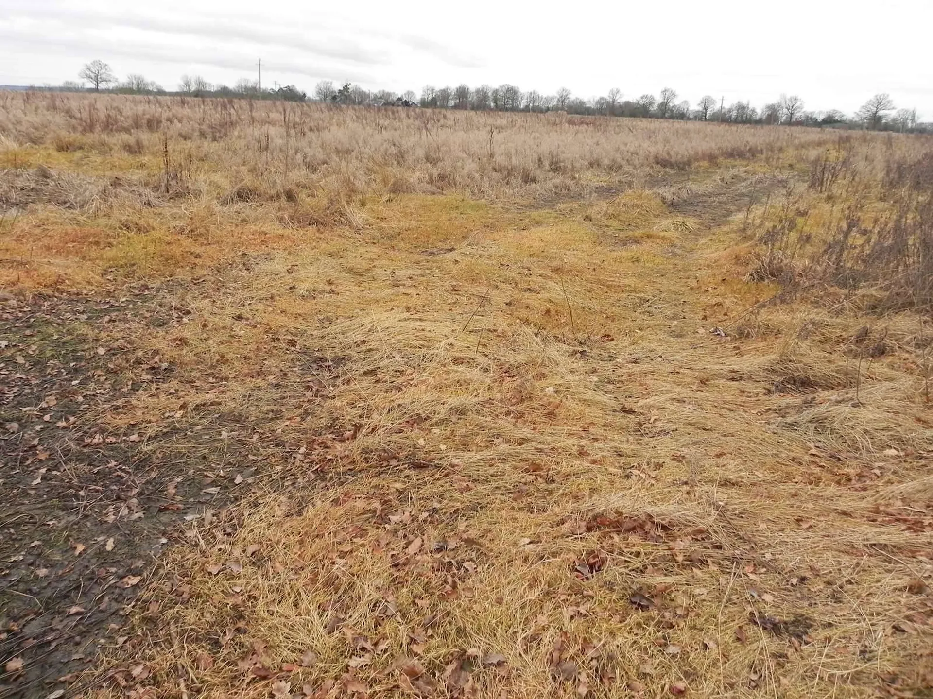 PAYS D'AUGE Entre LISIEUX et CAMBREMER (CALVADOS) A vendre TERRAIN AGRICOLE : 8HA 65A