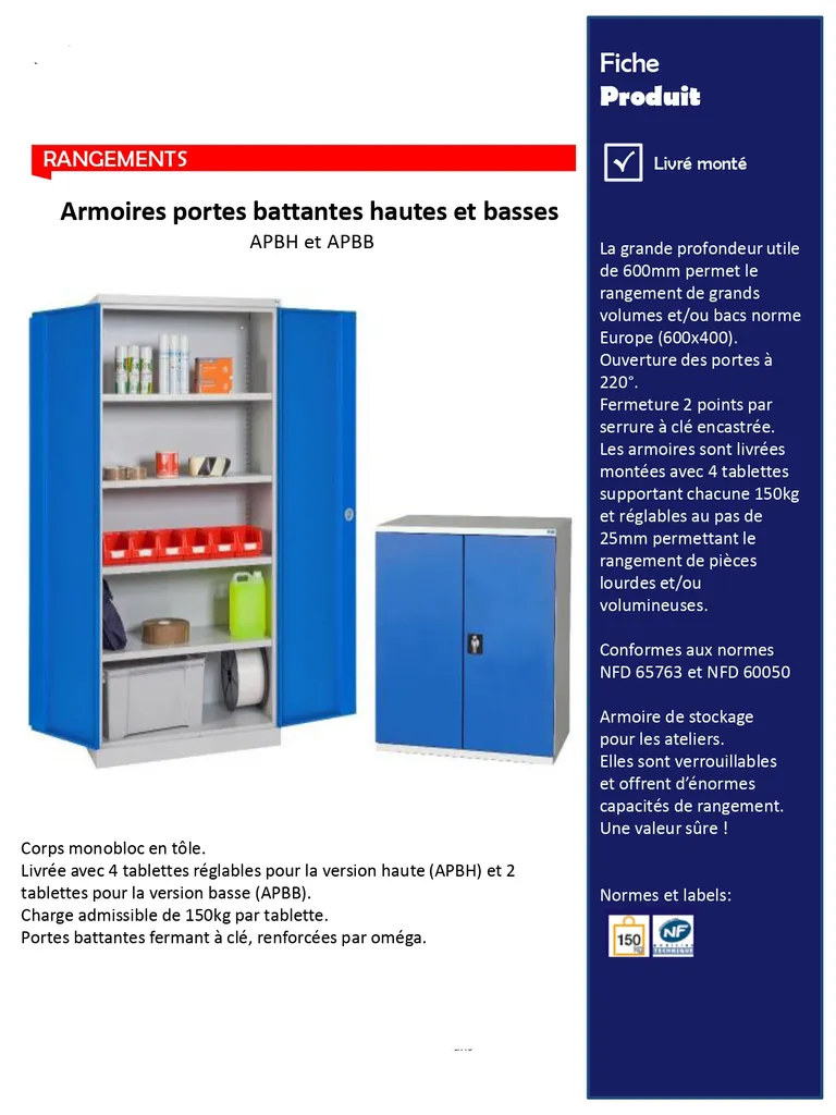 Armoires d'atelier à portes battantes