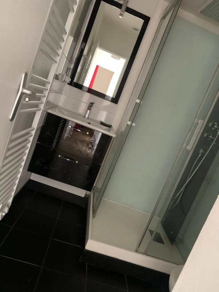 salle de douche F2 à louer Rouen rive droite 