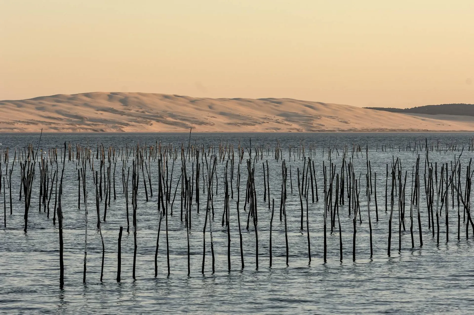 Contacter un bateau-taxi pour une traversée Arcachon / Cap Ferret