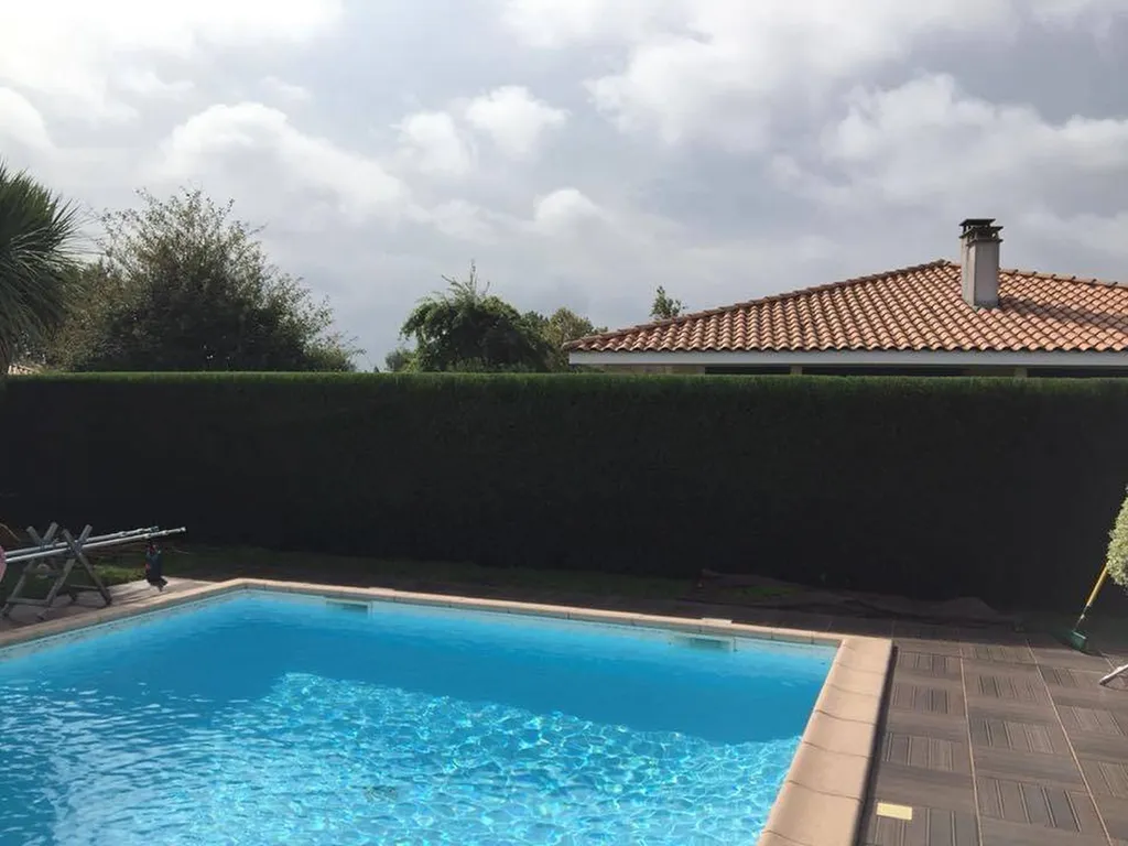 Comment rendre vos haies impeccables tout en préservant la nature à Mimizan avec Evolution Paysage