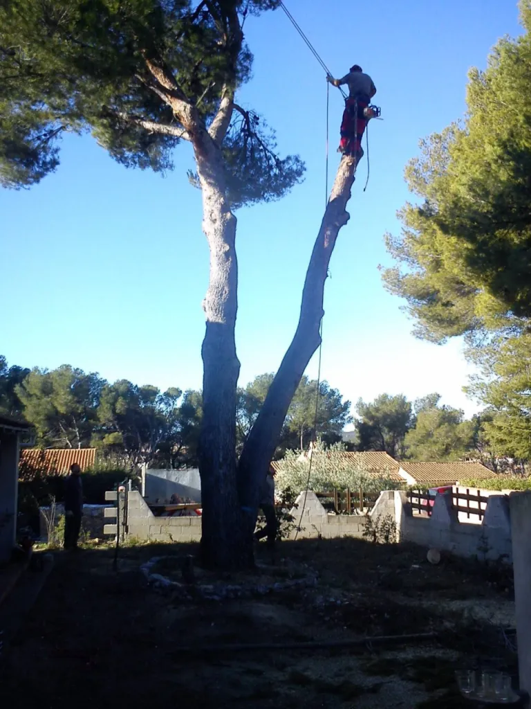 Nos prestations sur le secteur deà Les pennes Mirabeau près de Vitrolles