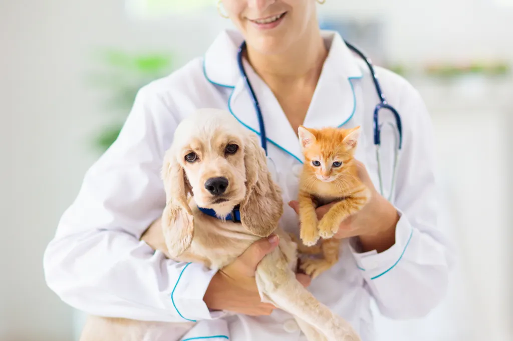 Valérie Guillet accompagne les projets d’adoption responsable à Paris, en clarifiant le lien humain–animal grâce à la constellation animale intuitive.