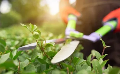 Outillage à main pour jardin
