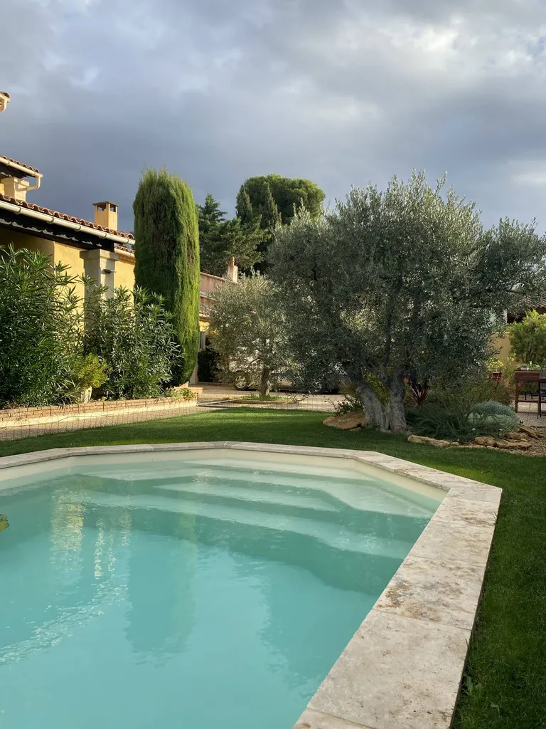 Piscine coque dans jardin