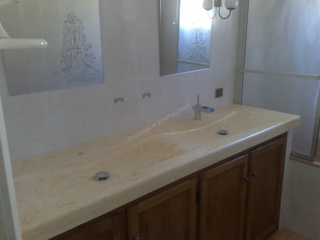 Plan de salle de bains massif en marbre