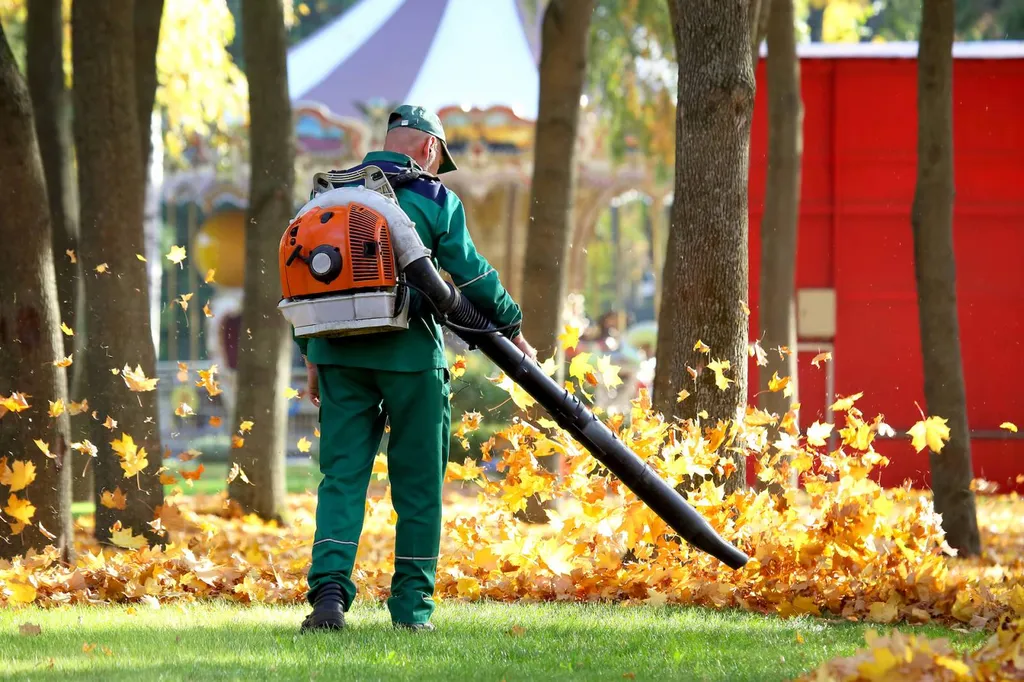 les feuilles sont en train de tomber de vos arbres ? il est grand temps de les élaguer