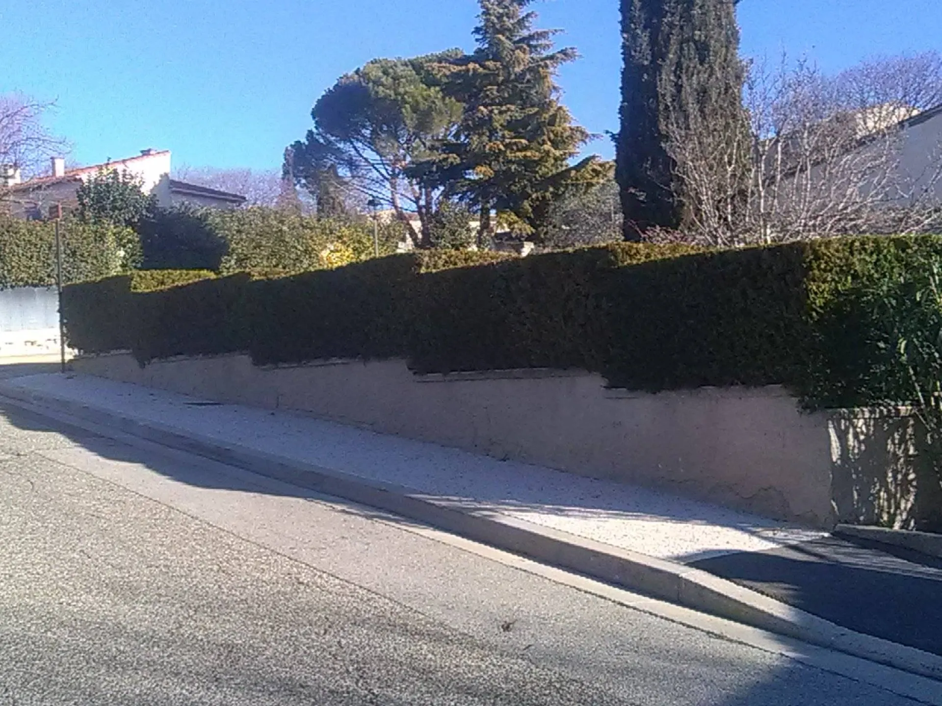 Taille de haie pour entretien de jardin près d'Aix en Provence Taille de haie pour entretien de jardin près d'Aix en Provence
