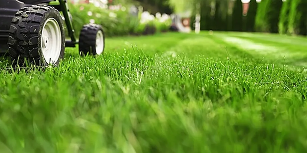 Entretien du gazon au printemps conseils pour tonte fertilisation scarification arrosage et obtenir une pelouse verte dense et résistante durable