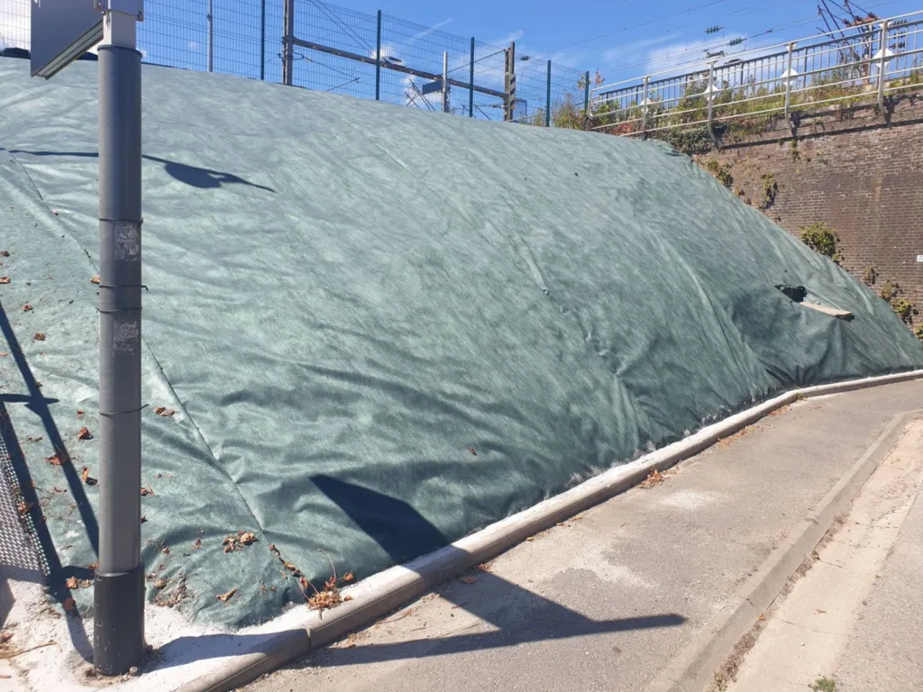 procedure pour se debarasser des plantes invasives