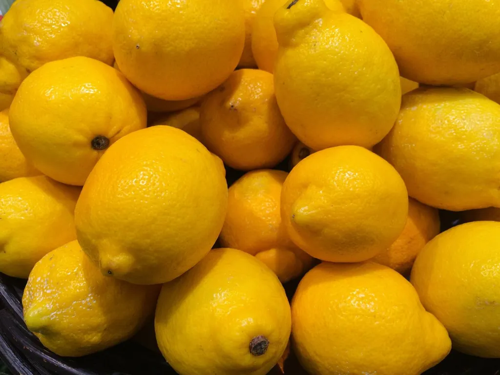 Cargaison de citrons à livrer en urgence en camion complet depuis Menton vers la Belgique