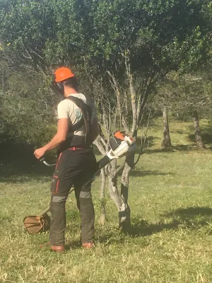 Débroussaillage des zones proches de maquis dans le Vaucluse
