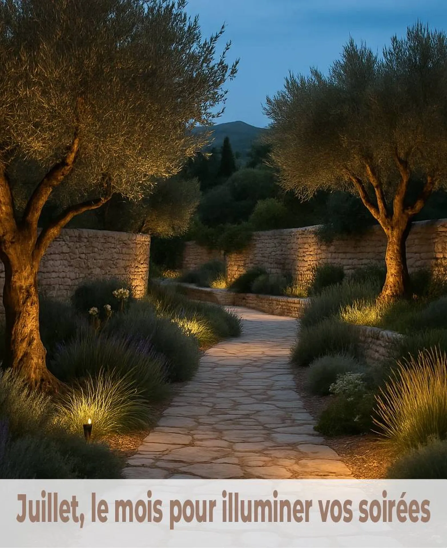 Éclairage paysager raffiné dans un jardin privé des Alpilles (13520)