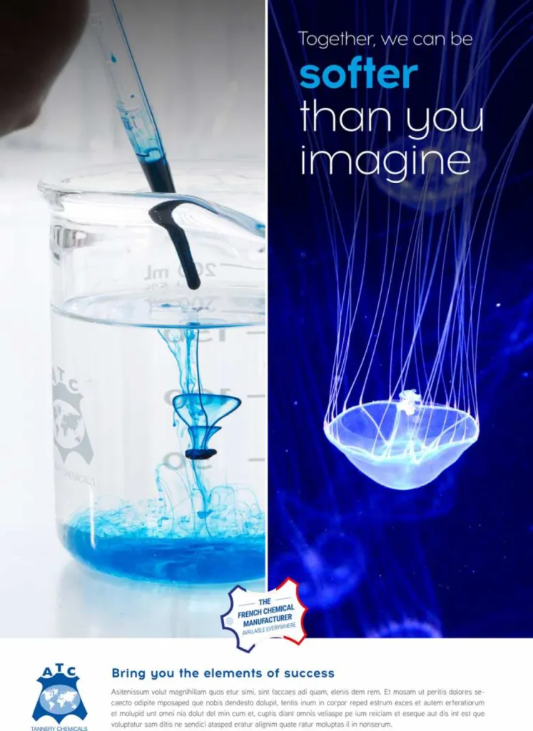  photographie publicitaire pour illustrer une méduse