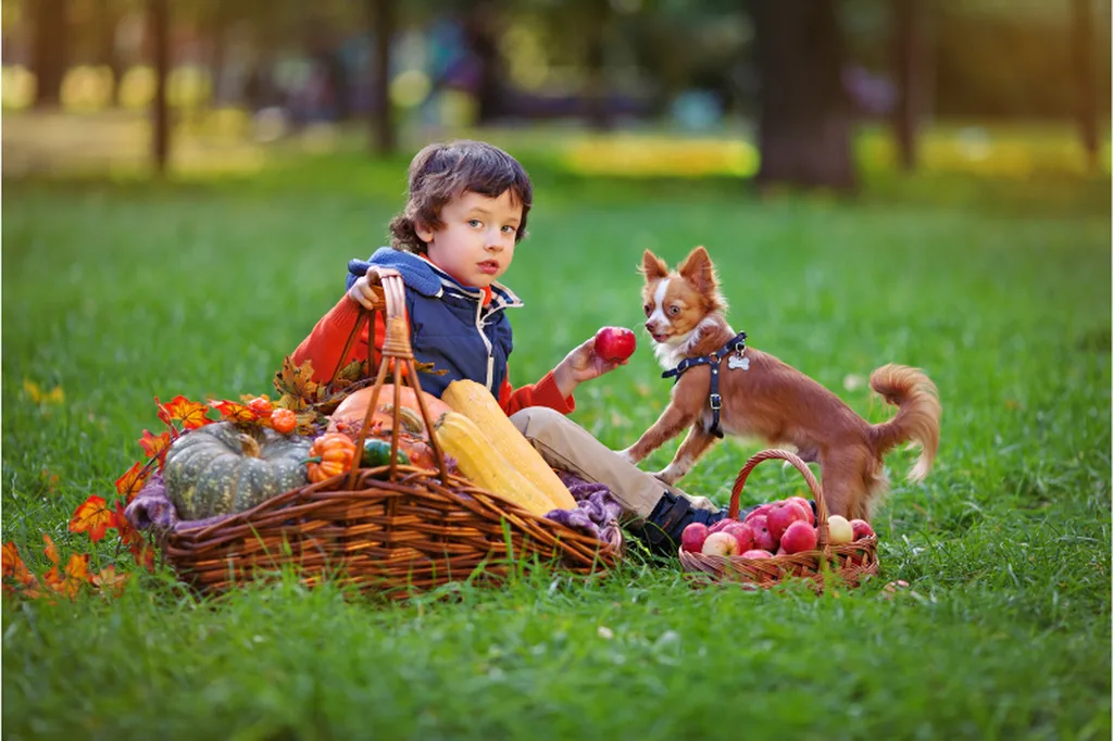 Faciliter la communication avec un enfant autiste grâce à Valérie Guillet et les constellations animales intuitives et familiale à Rouen