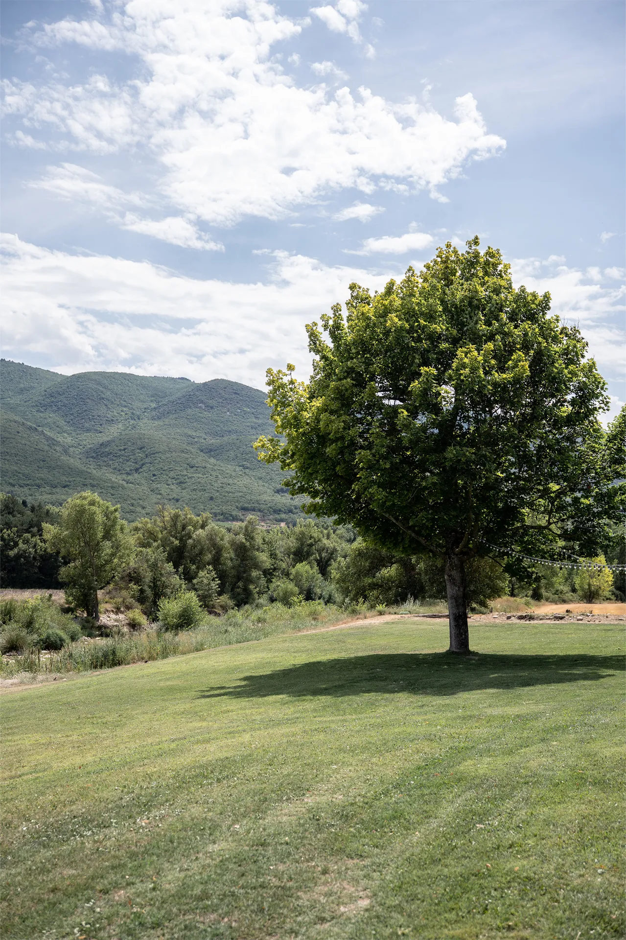 Lieu team building proche de Bonnieux et Roussillon : hébergement, salle de réunion climatisée, WiFi, et organisation de rallye en voitures de collection pour la cohésion