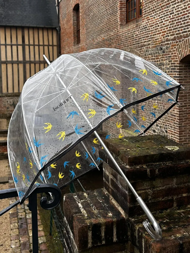 Parapluie Isotoner cloche transparent PVC/Hirondelles disponible chez Evasion Eu
