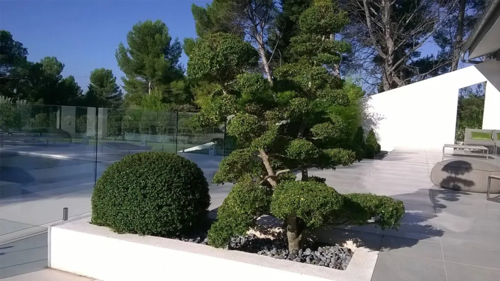 Aménagement d'un massif contemporain région Aix