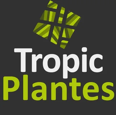 JARDINERIE CAVEIRAC Tropic Plantes