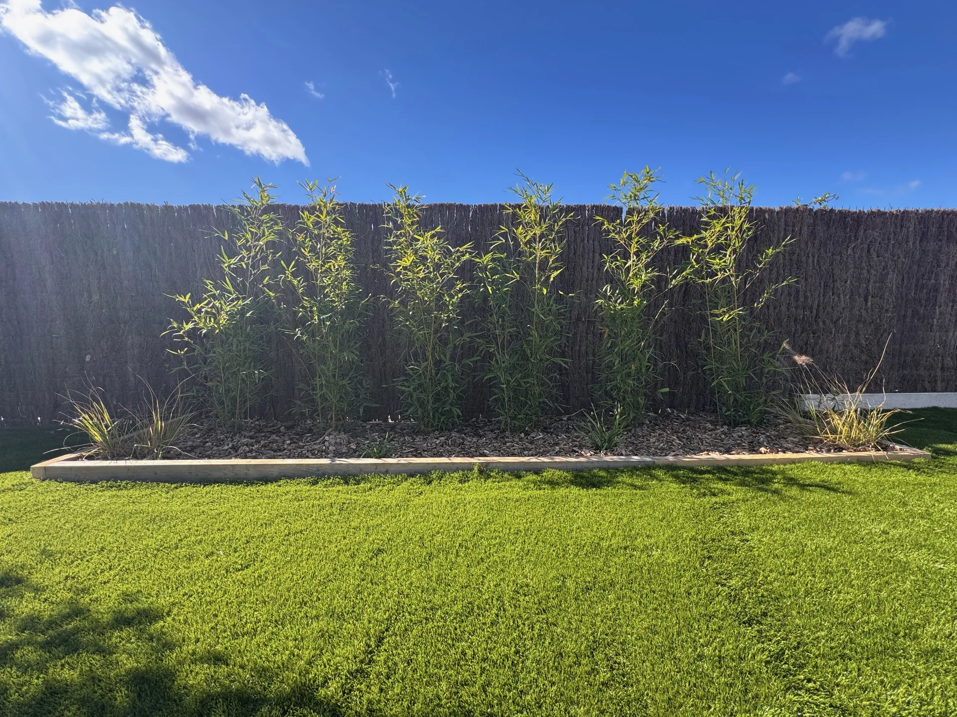 Création complète d’un jardin paysager avec gazon synthétique, pas japonais et plantations à Pinet près de Sète