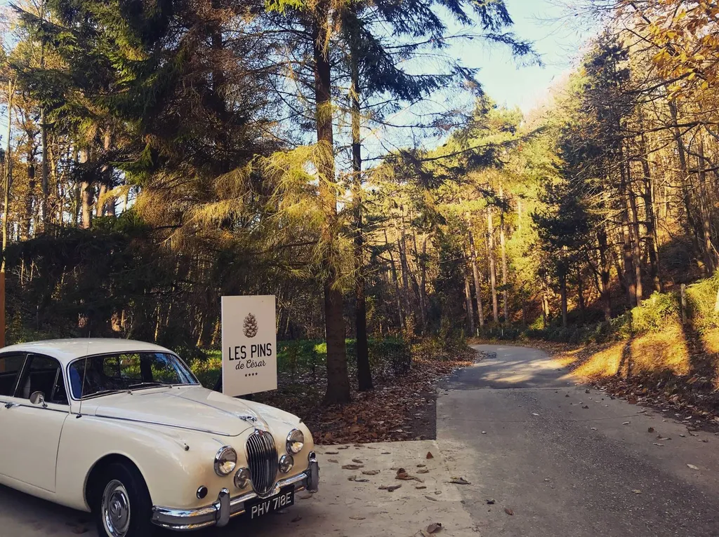 Jaguar dans la foret de saint jouin  76