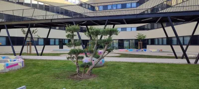 Prestation d’entretien d’espaces verts pour entreprise à Avignon et dans le Vaucluse