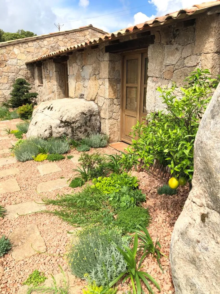 Aménagement paysager complet avec plantations méditerranéennes, pavage granit et éclairage de jardin sur mesure en Corse