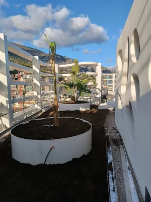 Aménagement d'espaces verts sur toiture à Monaco