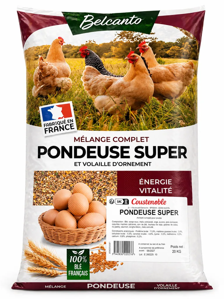 Aliment poule super pondeuse – nutrition complète pour une ponte intensive et de qualité